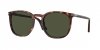 OKULARY PERSOL® PO 3316S 24/31 52 ROZMIAR M